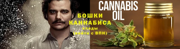 дмт Надым