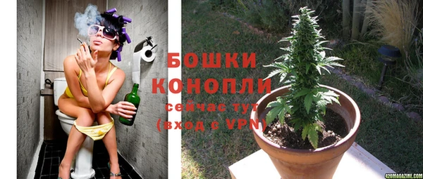 дмт Надым