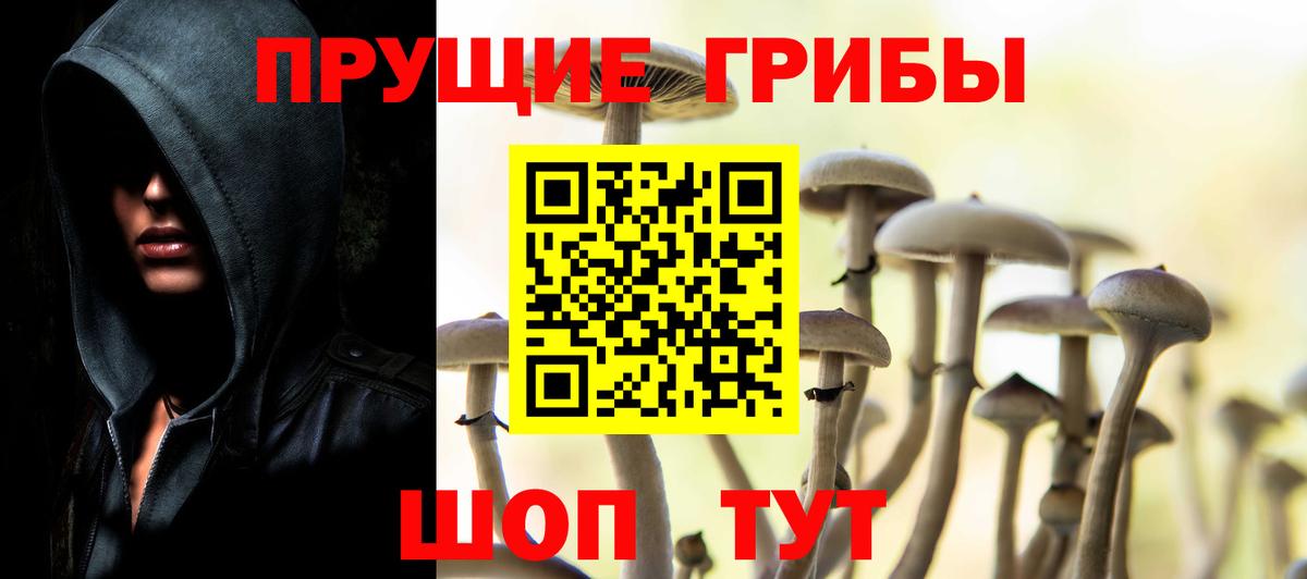 Галлюциногенные грибы прущие грибы  Вход с VPN  Павловский Посад 