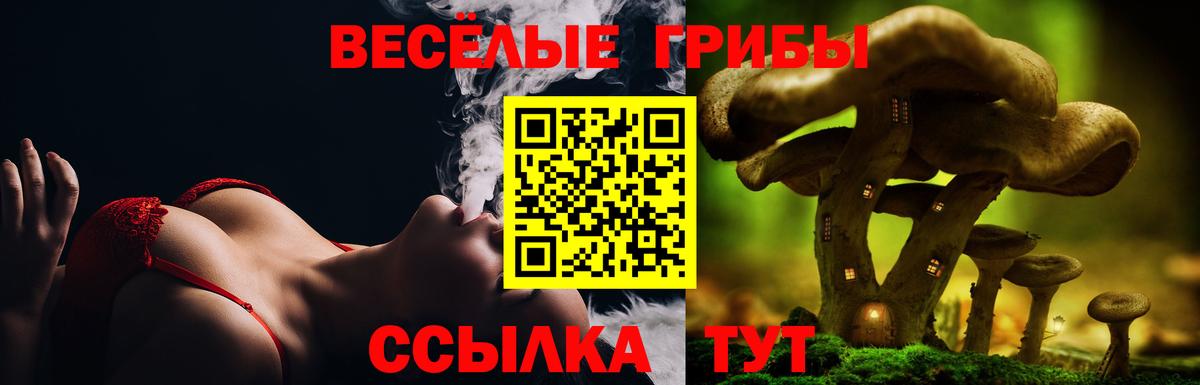Галлюциногенные грибы Cubensis Павловский Посад