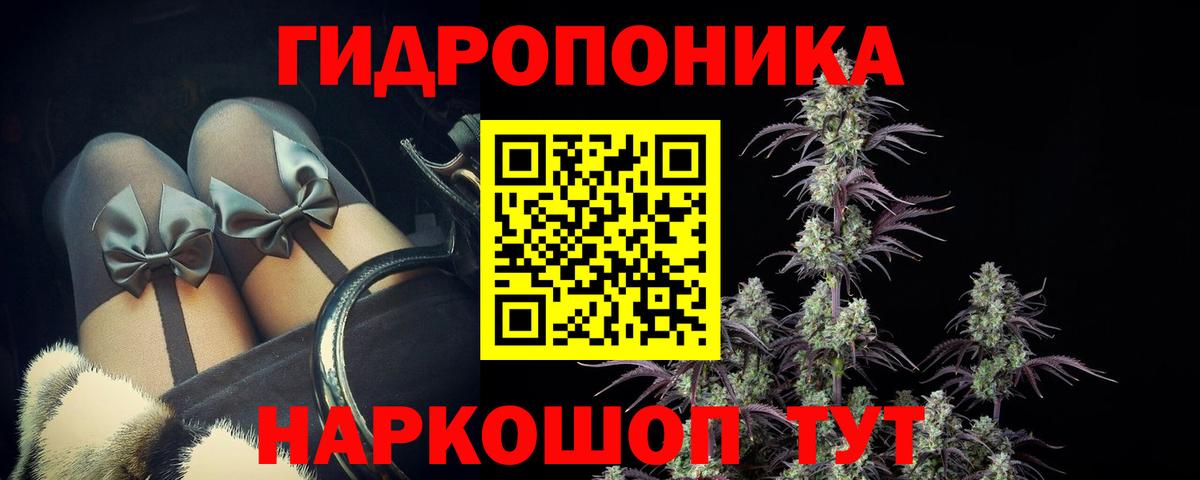Шишки марихуана индика  Конопля конопля  Канабис Bruce Banner  Вход с VPN  Павловский Посад 